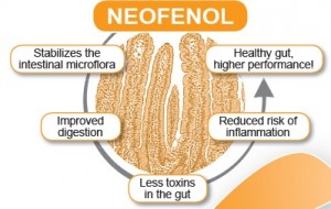 Neofenol mode of action